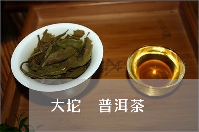 大坨 普洱茶/2023042891390